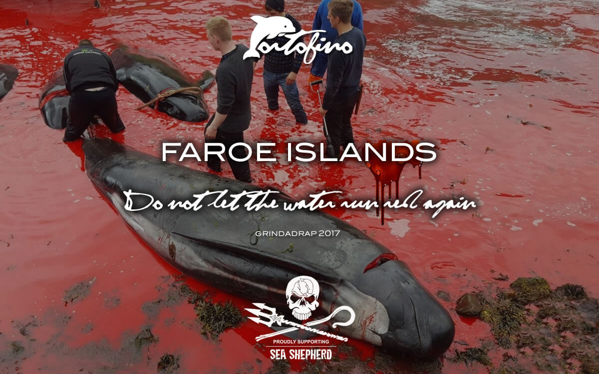 portofino & sea shepherd