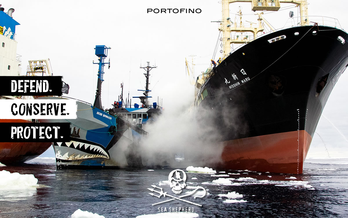 portofino & sea shepherd