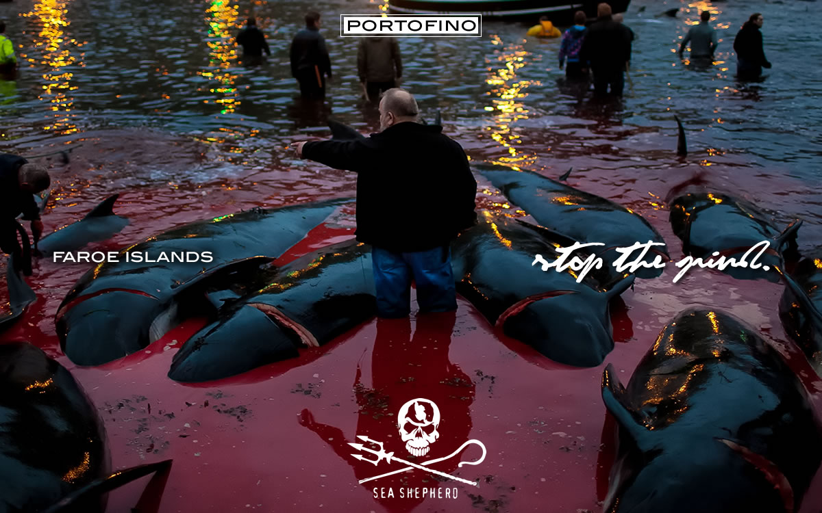 portofino & sea shepherd