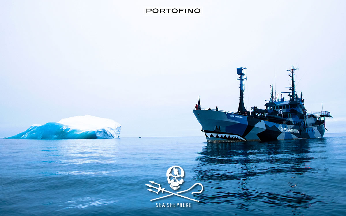 portofino & sea-shepherd-1