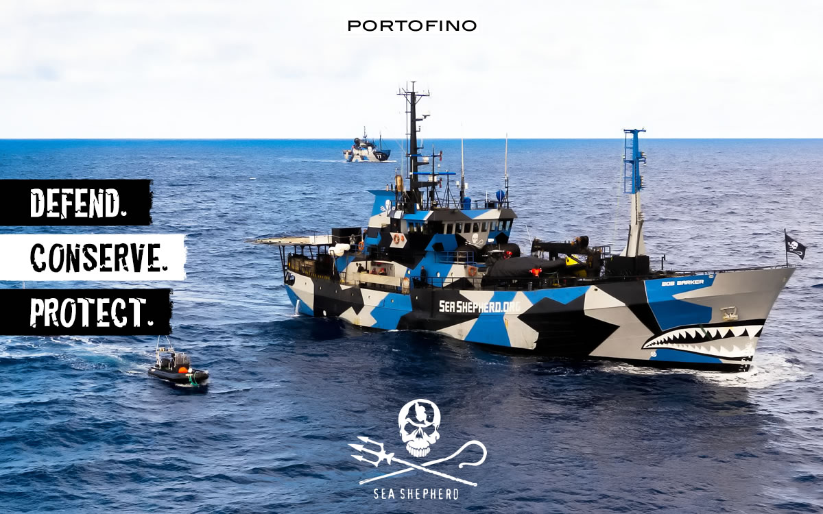 portofino-sea-shepherd-boat-3