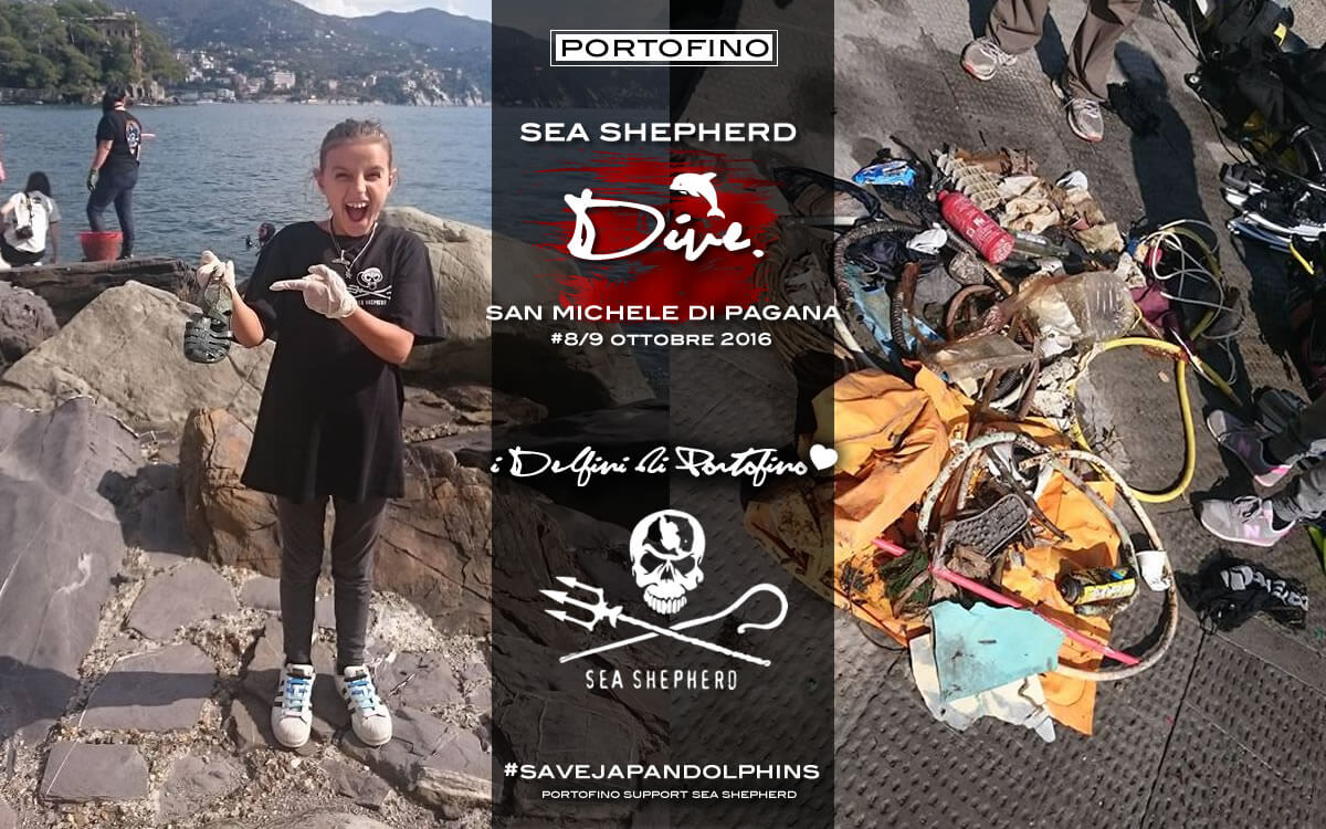 portofino-sea-shepherd-dive