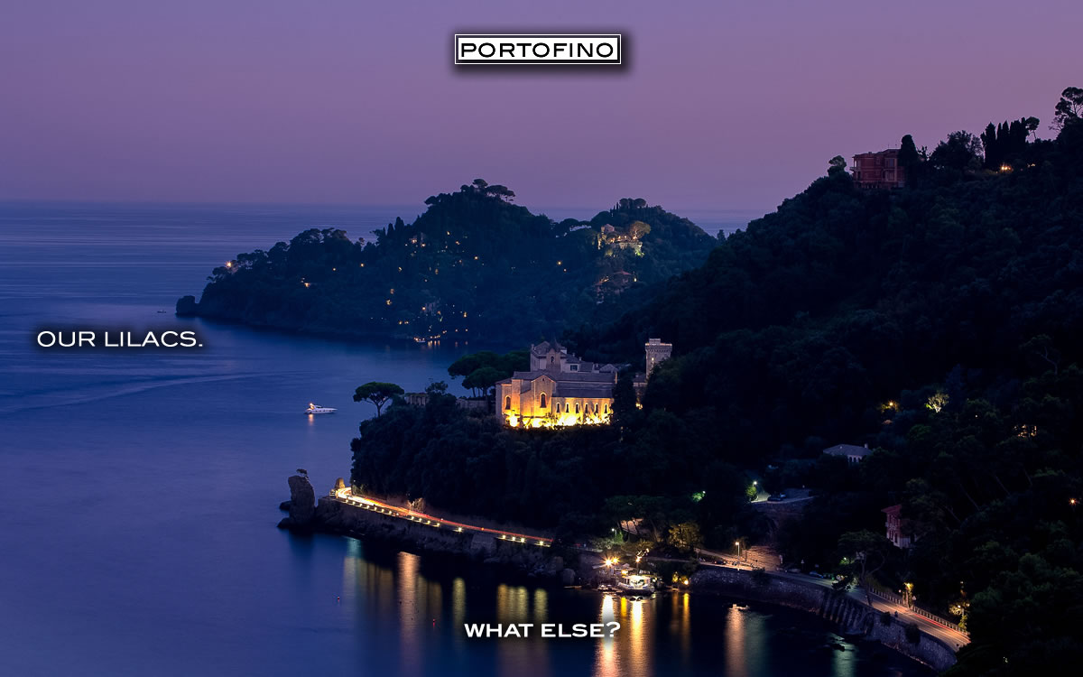 portofino-lilacs