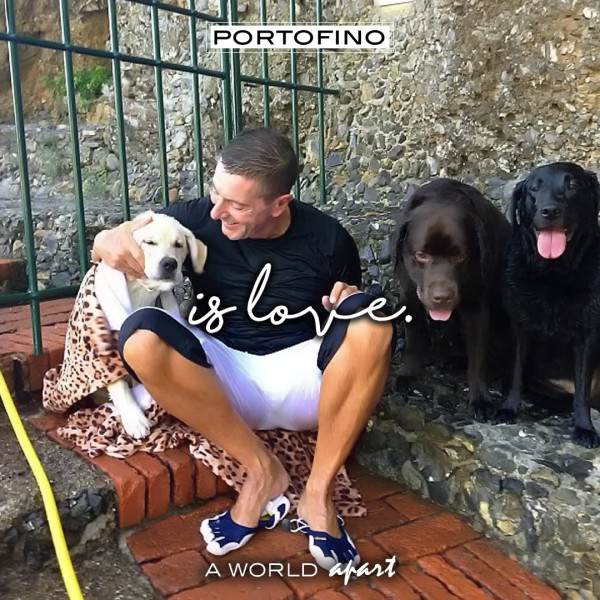 Portofino Stefano Gabbana Labrador